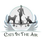 cats in the air-min